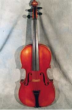 Viola